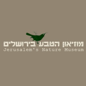 Nature museum Jerusalem