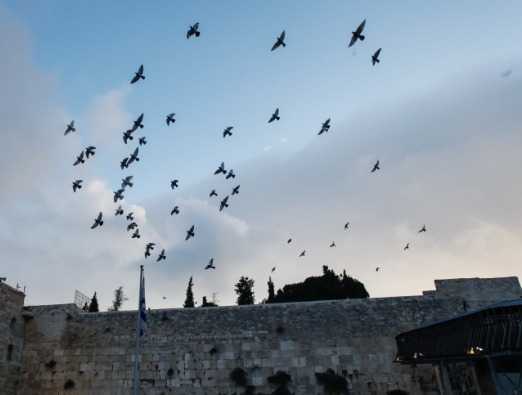 Jerusalem Jewish Heritage Tour - 1