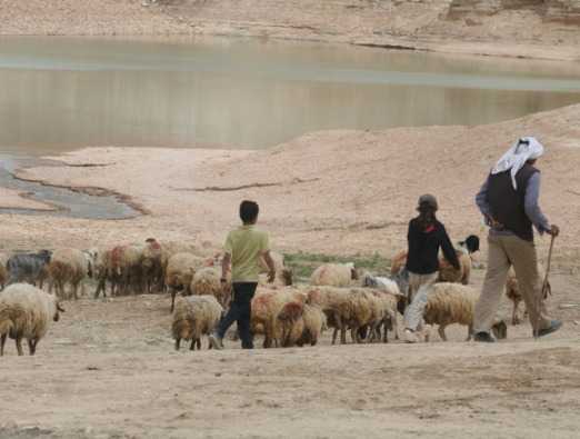 Dead Sea Tour - 3