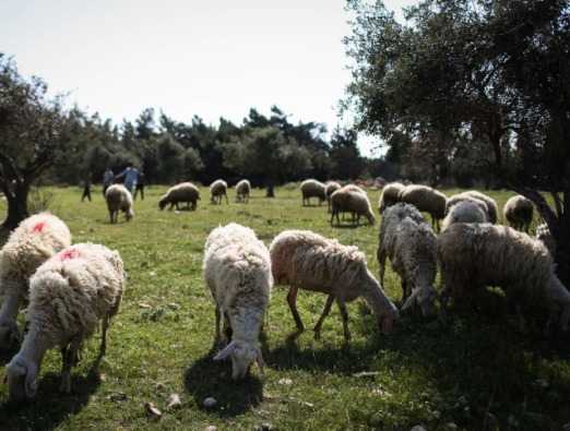 Jerusalem’s photos of the week, April 10th, 2014 - 3