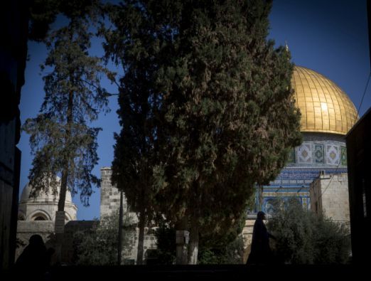 Jerusalem's top events for the week of November 13h - 3
