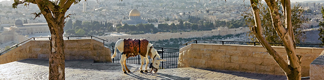 Jerusalem 1 day tours